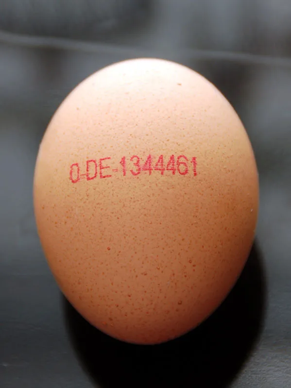 Ein braunes Hühnerei mit dem rot aufgedruckten Erzeugercode 0-DE-1344461.