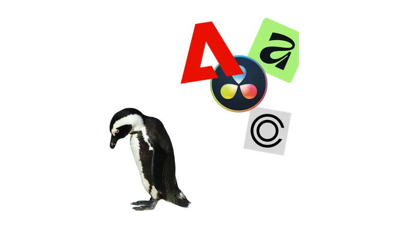 Bildmontage: Ein Pinguin schaut zu Boden, während die Logos von Adobe, DaVinci Resolve, Affinity und Capture One über ihm schweben.